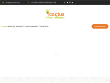 Tablet Screenshot of cactusintl.com